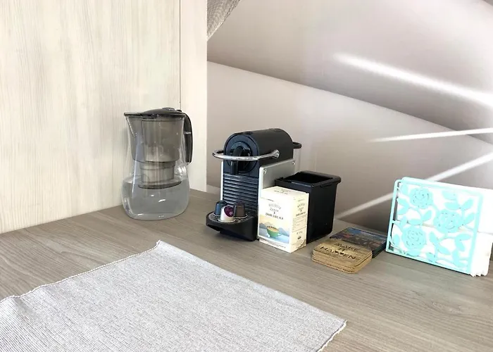 Delmar - Endless Summer *